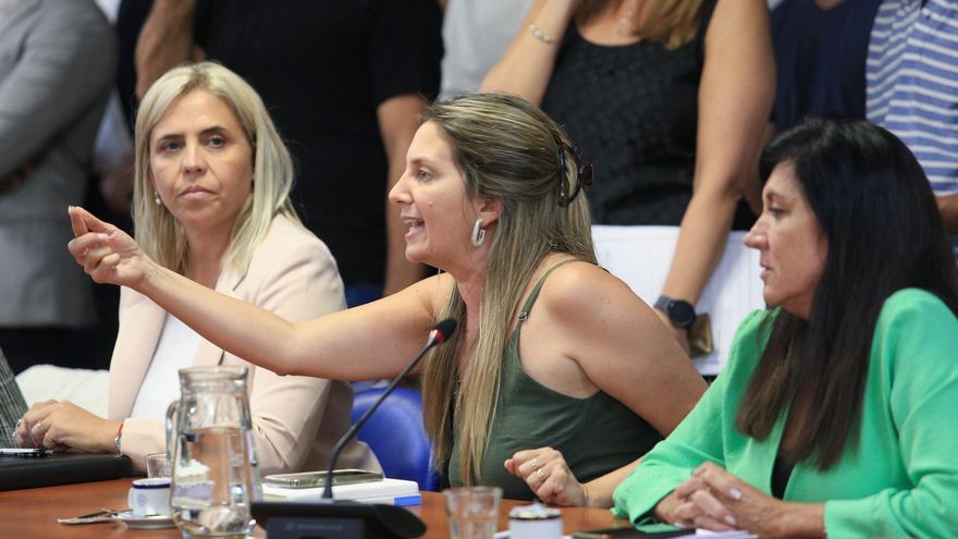 Tras las denuncias del pacto libertario-kirchnerista, Milei reculó, contactó al PRO y dijo que ahora sí quiere ley de Ficha Limpia