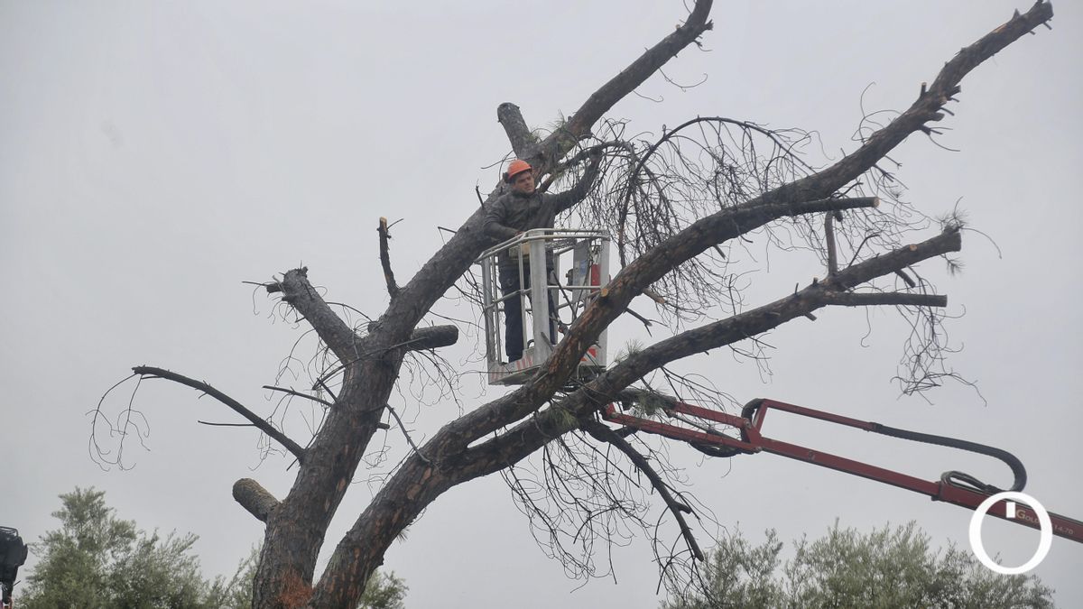 Efectos del tornado en el Hospital Reina Sofía de Córdoba