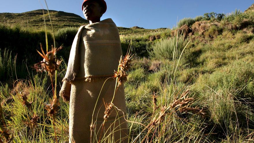 Los aranceles recíprocos de Trump golpearán las economías de 17 países de África subsahariana