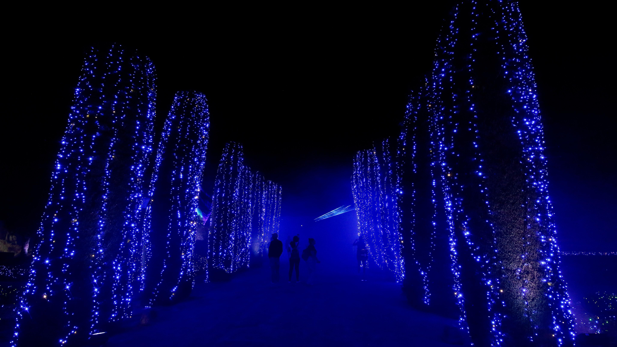 Nuevo espectáculo de Naturaleza Encendida en el Alcázar