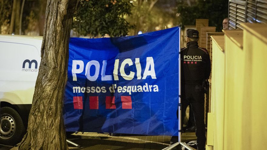 La jueza descarta que la muerte de dos hermanos en Barcelona en enero fuera violencia vicaria