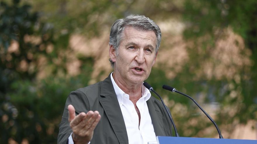 El presidente del PP, Alberto Núñez Feijóo en una imagen de archivo. EFE/Rodrigo Jiménez