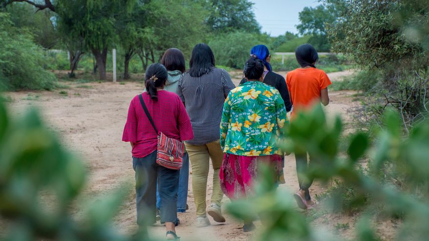 Cazadas como animales en el Gran Chaco argentino: el grito colectivo de las mujeres de la ruta 81