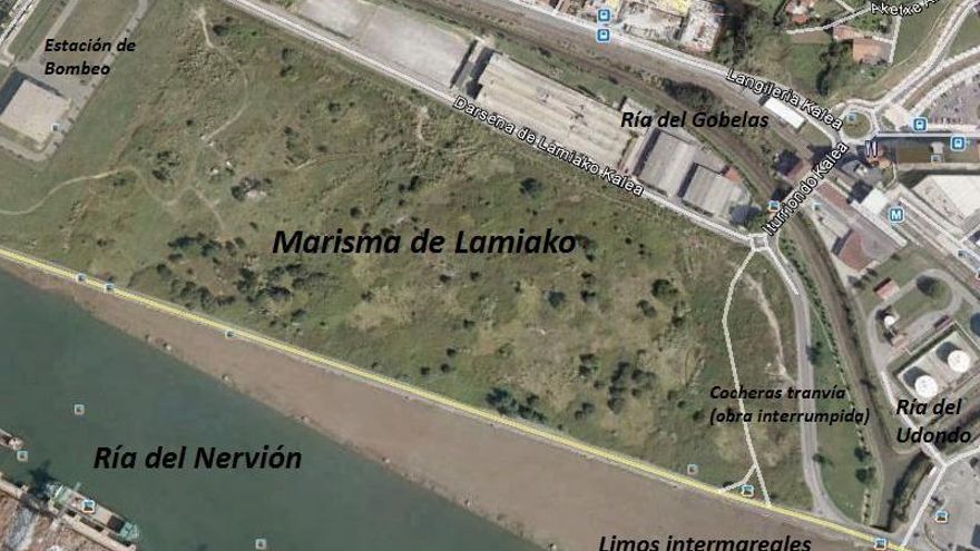 Ekologistak Martxan considera "inaplazable" la recuperación del humedal protegido de Lamiako