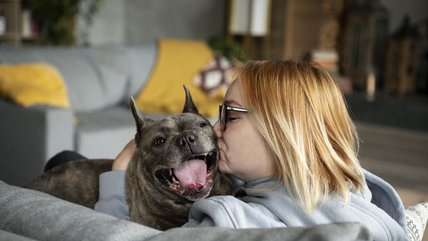 Una etóloga, sobre cómo el diseño de nuestras casas afecta a perros y gatos: “Un entorno inadecuado puede llegar a considerarse una forma de maltrato"