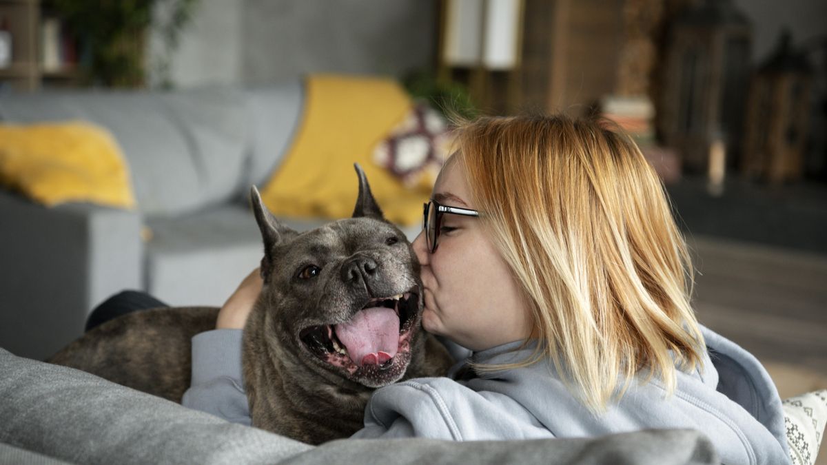 Una etóloga, sobre cómo el diseño de nuestras casas afecta a perros y gatos: “Un entorno inadecuado puede llegar a considerarse una forma de maltrato"