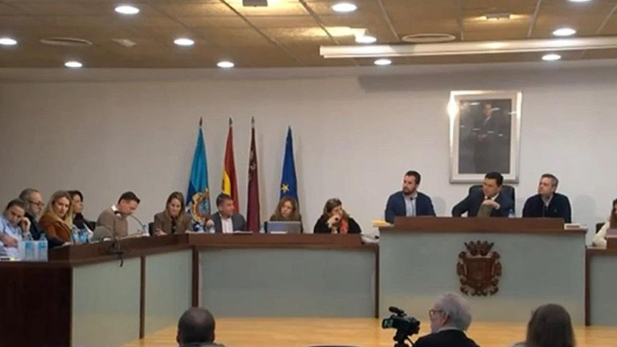 Pleno del pasado jueves 12 de febrero