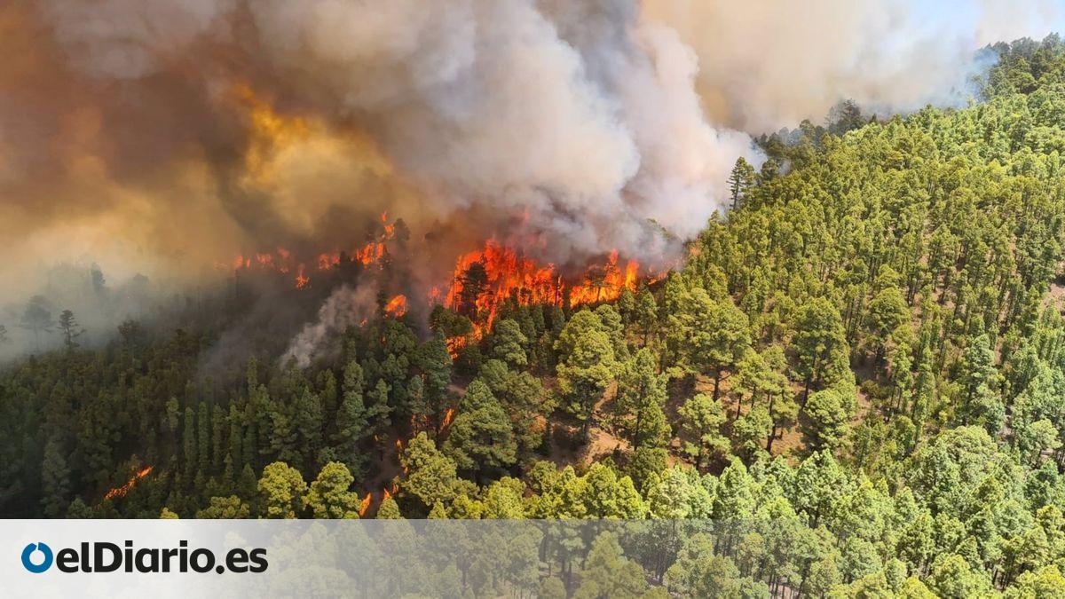 El Gobierno de Canarias mantiene la alerta por incendios forestales en cinco islas