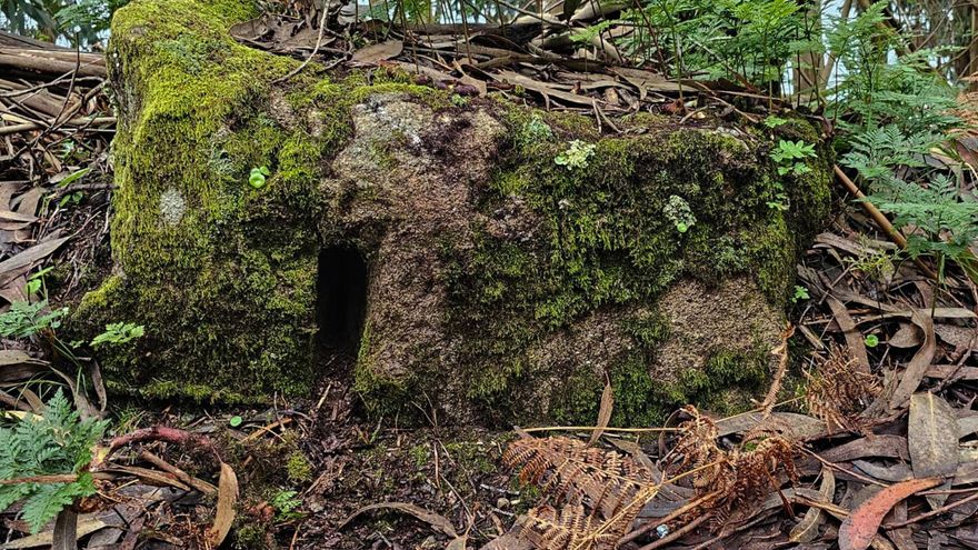 Hallan en Tambo los restos de un monasterio del siglo VII derribado por los ingleses en el XVI