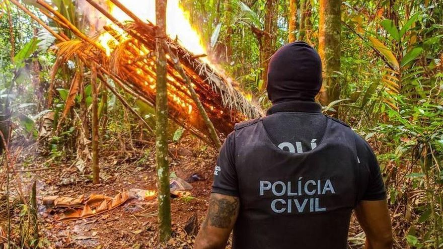 La cocaína llega a Europa en cargamentos de madera ilegal de la Amazonia brasileña