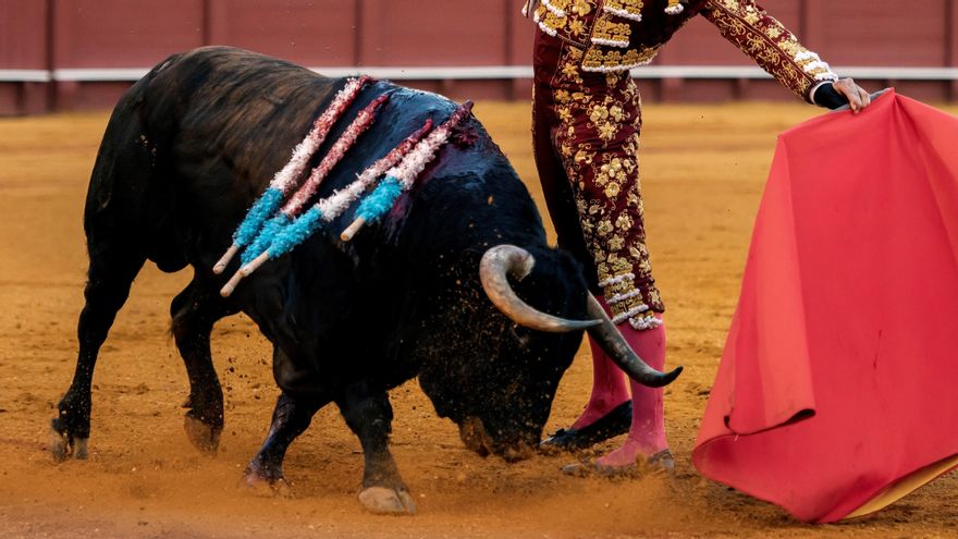 El torero José María Manzanares da un pase con la muleta al segundo de los de su lote, durante la corrida de la Feria de San Miguel en la Maestranza, en Sevilla. EFE/Raúl Caro