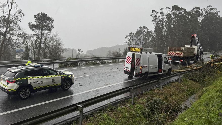 Emergencias trabaja por la caída de otro árbol en la AP-9, a la altura de la localidad pontevedresa de Vilaboa este domingo