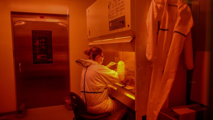 Personal investigador realiza su labor en la Unidad de Alta Seguridad Biológica en Hipra, en una imagen de archivo. EFE/ Toni Albir