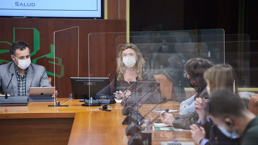 "La movilidad durante los puentes y la Navidad ha contribuido a la transmisión del virus", admite la consejera vasca de Salud