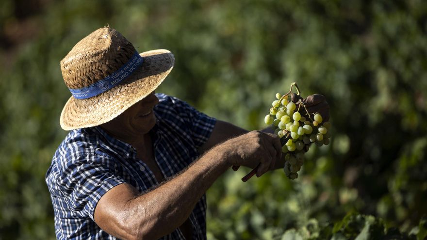 Cómo afecta a España el acuerdo arancelario: prudencia por el escaso impacto salvo para agroalimentación y maquinaria