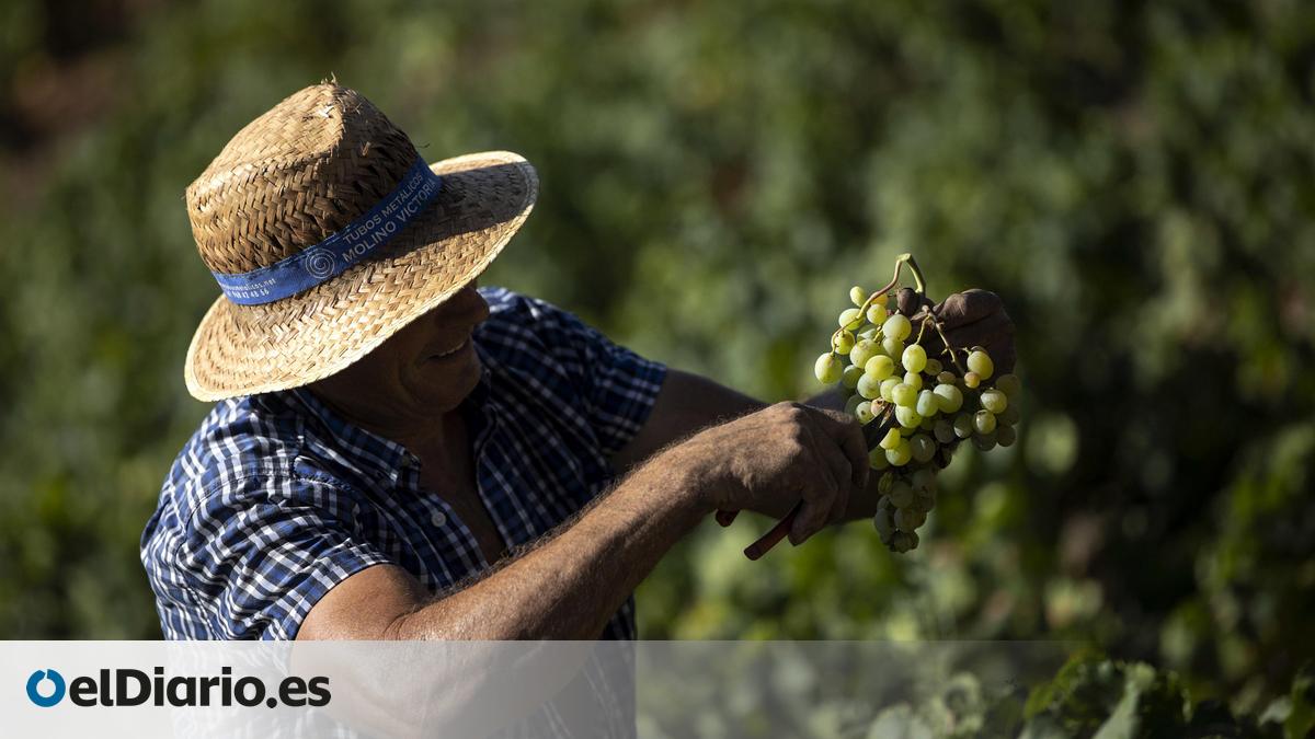 prudencia por el escaso impacto salvo para agroalimentación y maquinaria