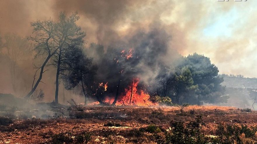 Más de cien incendios activos en Grecia debido a los fuertes vientos y la sequía