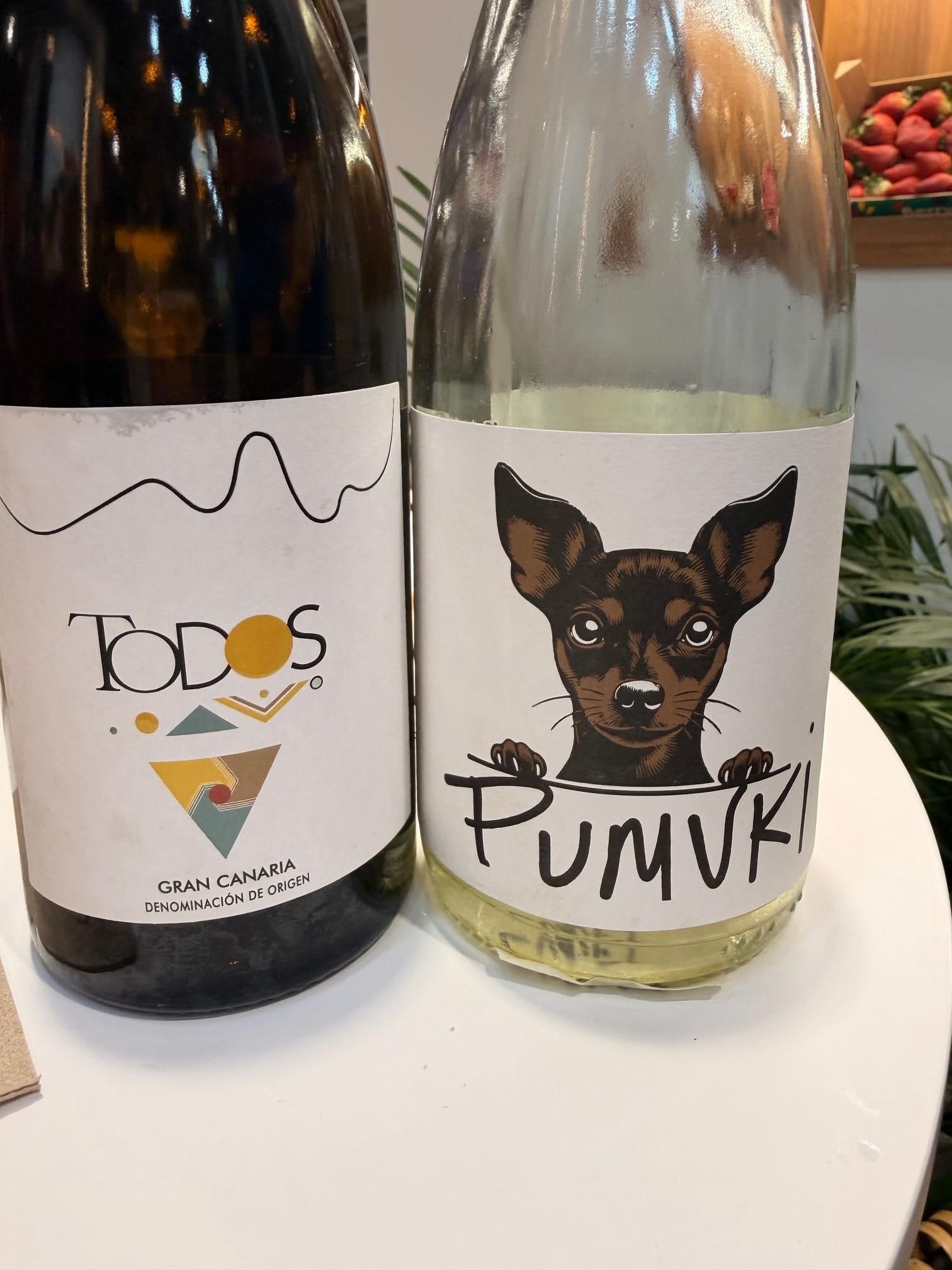 Vinos de Gran Canaria.