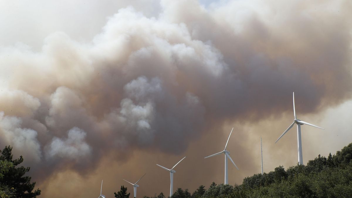 Los incendios en distintos puntos de Navarra, en fotografías y vídeos