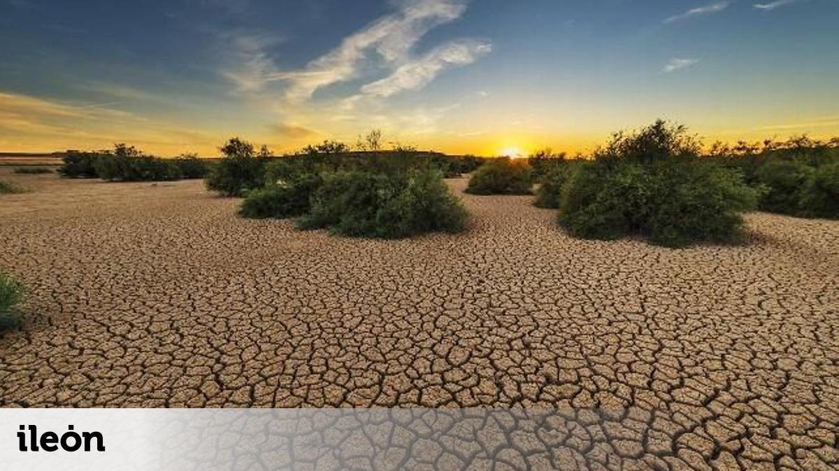 El calentamiento global bate todos los récords en 2024 y los ...