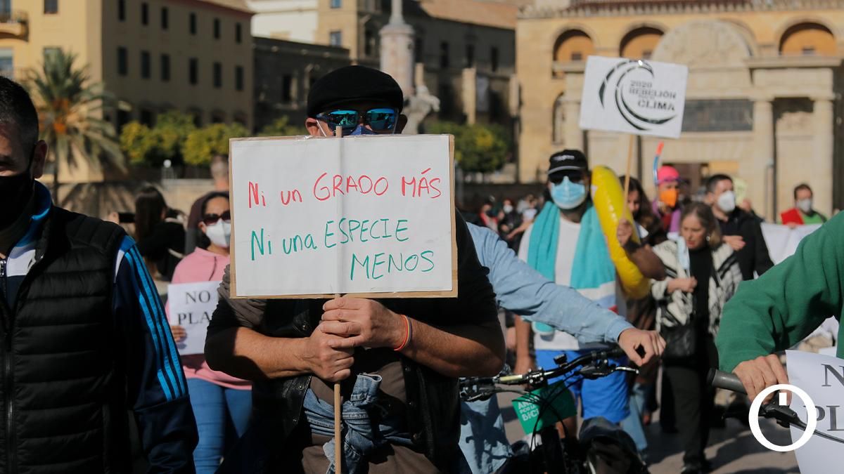 Manifestación Rebelión por el Clima