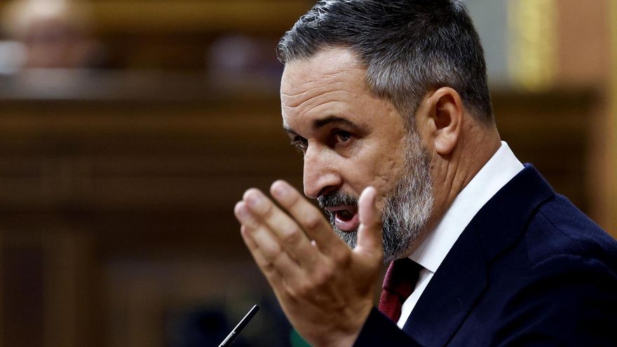 El líder de Vox, Santiago Abascal durante su intervención en la sesión de control al Gobierno celebrada este miércoles en el Congreso de los Diputados en Madrid. EFE/Chema Moya