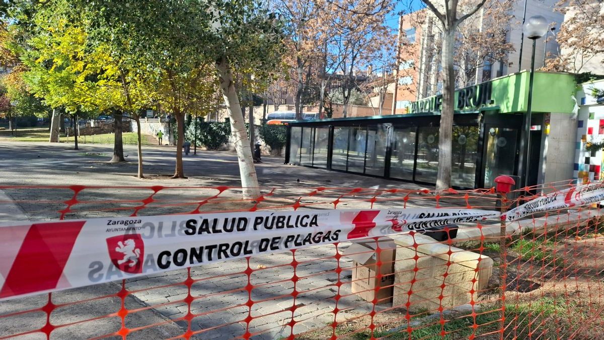 La zona se encuentra precintada por el Ayuntamiento de Zaragoza