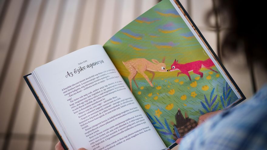 Libros prohibidos cerca de iglesias y con avisos de '+18': así aplica Hungría la ley anti-homosexualidad de Orbán