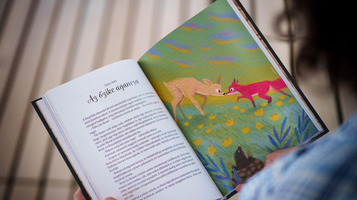 Libros prohibidos cerca de iglesias y con avisos de '+18': así aplica Hungría la ley anti-homosexualidad de Orbán