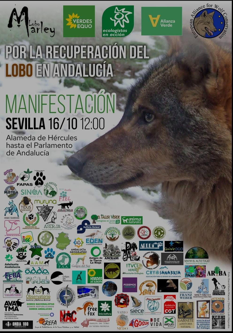 Cartel de la manifestación convocada para este sábado 16 de octubre.