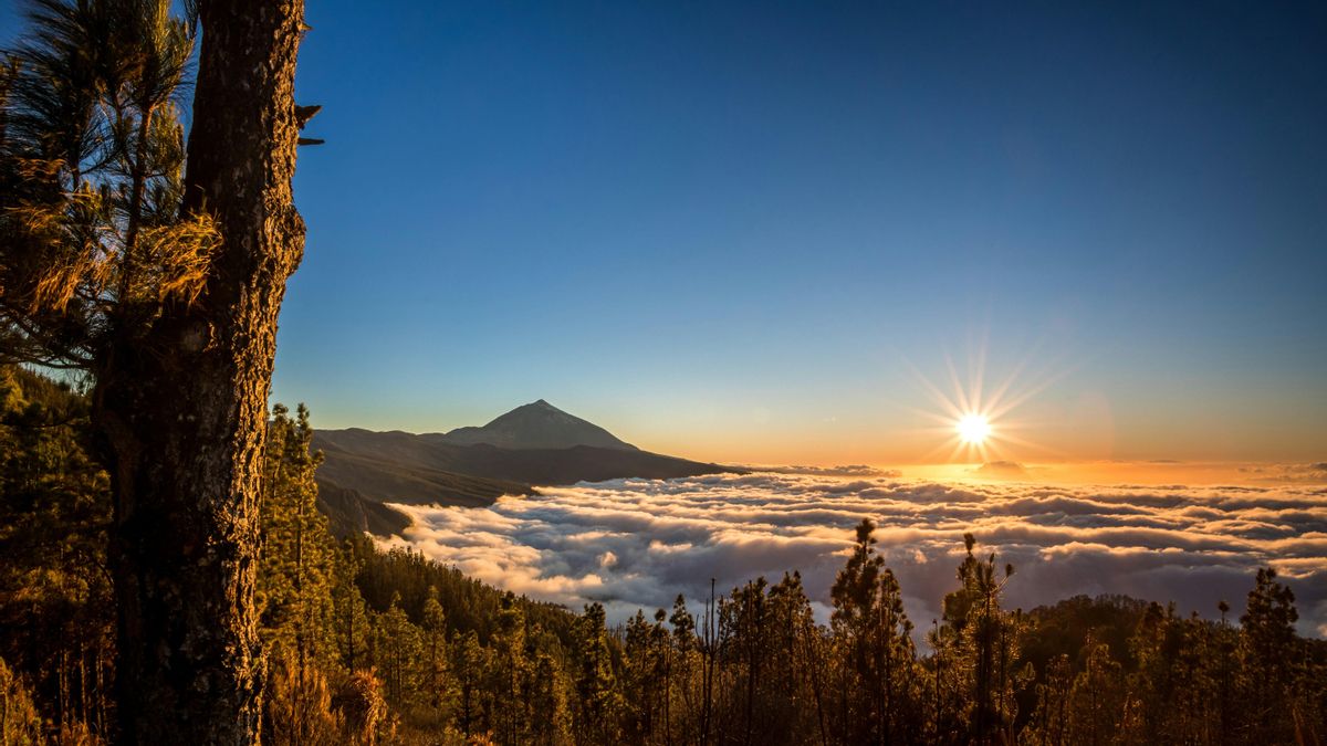 El Parque Nacional del Teide.
