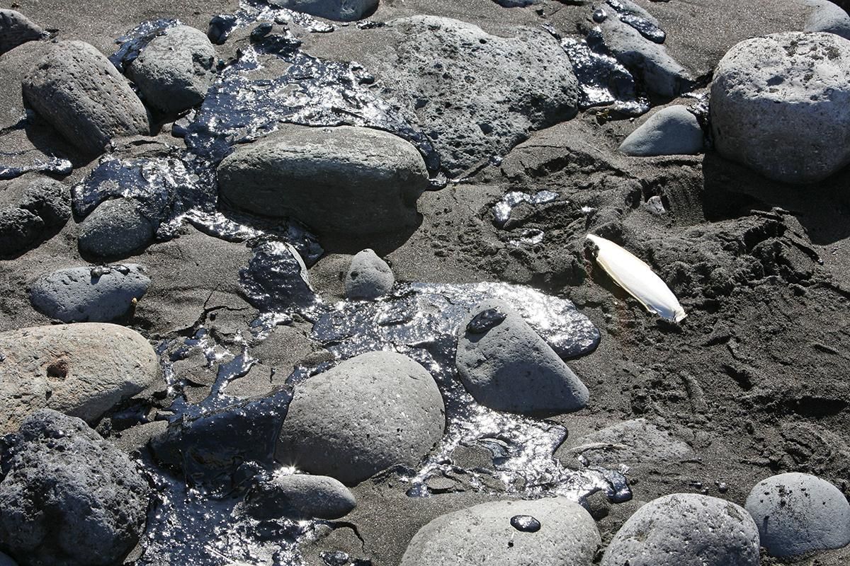 Recogida de fuel en la playa de Veneguera.( Alejandro Ramos)