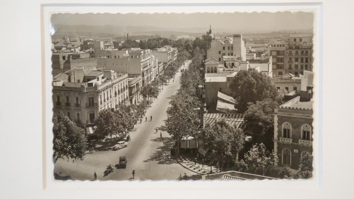 Inauguración de la exposición 'Córdoba, 1924-2000: la ciudad y el tiempo' de Rafael de la Hoz