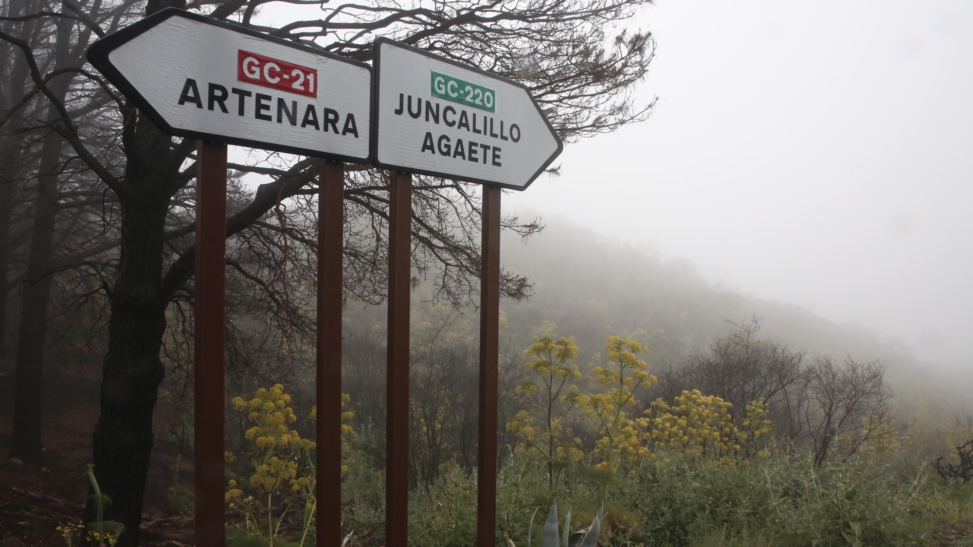 Un día de mayo invernal en la Cumbre de Gran Canaria