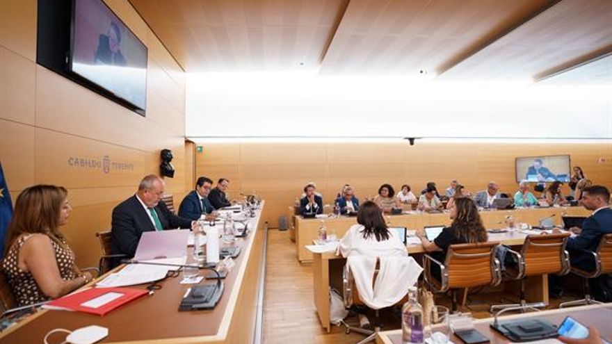 El pleno del Cabildo de Tenerife reclama la gratuidad del transporte público en la isla
