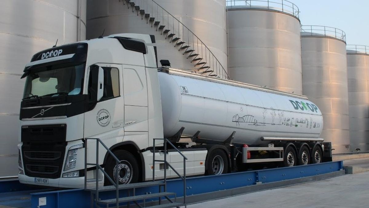 Dcoop suma IFS Broker y Logistics a sus certificados de calidad, para comercializar a granel aceite, aceitunas y vinos