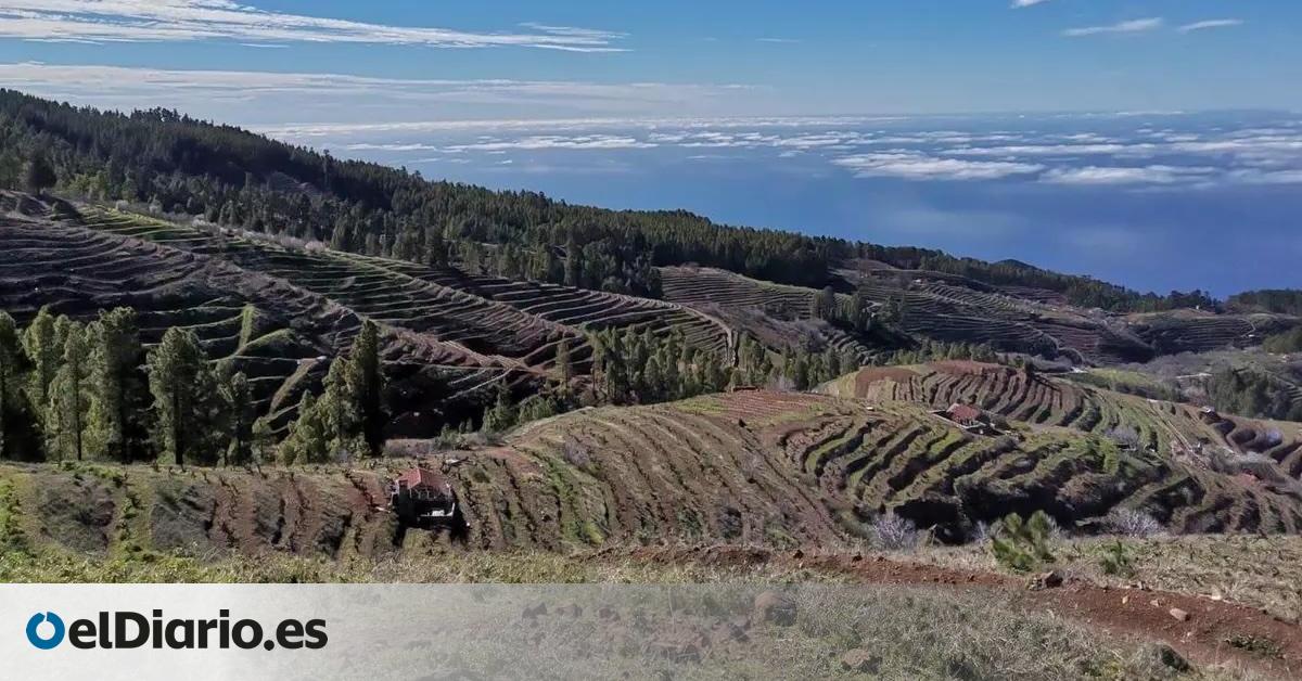 La Centinela alerta de “la burbuja del suelo agrario” en Canarias y pide que las Directrices “frenen la especulación rural”