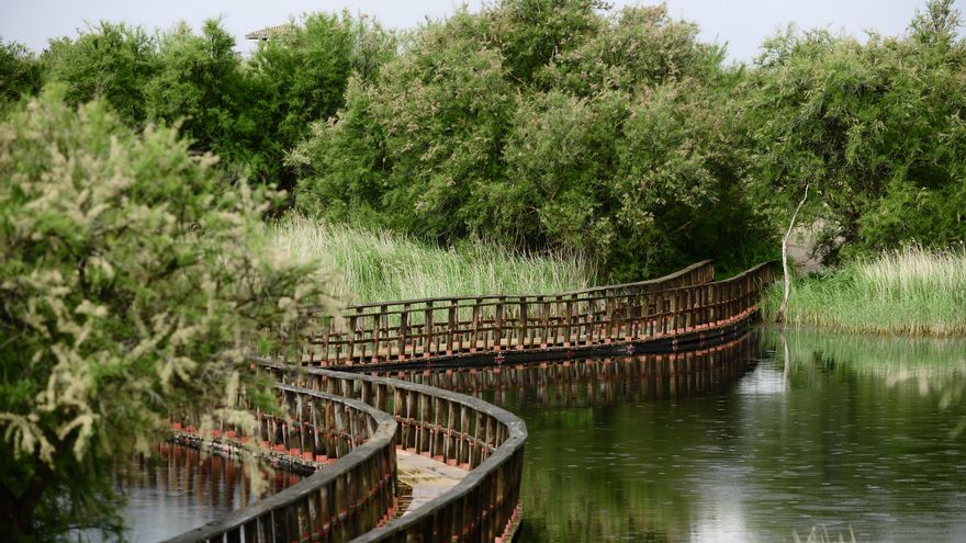 Tablas de Daimiel, en Ciudad Real