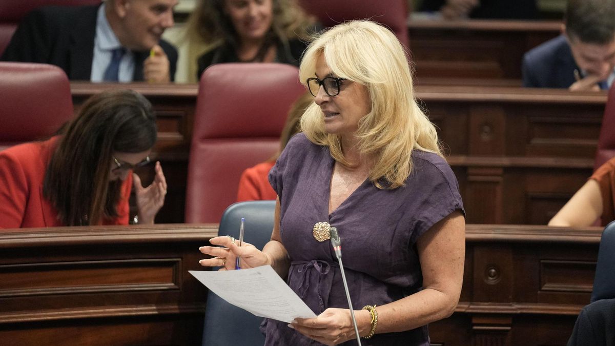 La consejera de Sanidad del Gobierno de Canarias, Esther Monzón, durante el pleno del Parlamento de Canarias que se celebra este martes.