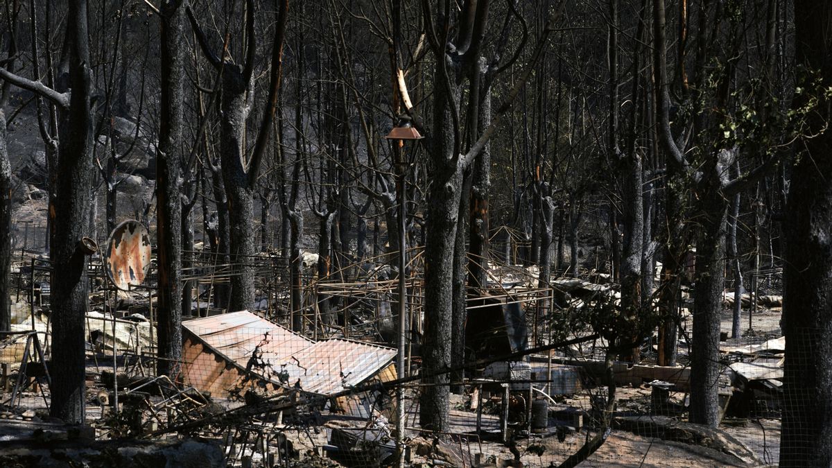 La investigación del incendio de Ávila apunta a que el operario abrió caminos con maquinaria vetada por el riesgo de fuego