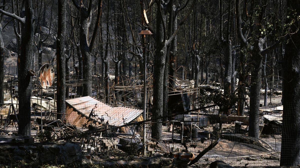 Paisaje quemado en el Parque Natural del Valle de Iruelas arrasado por el incendio de Burgohondo (Ávila) este domingo.