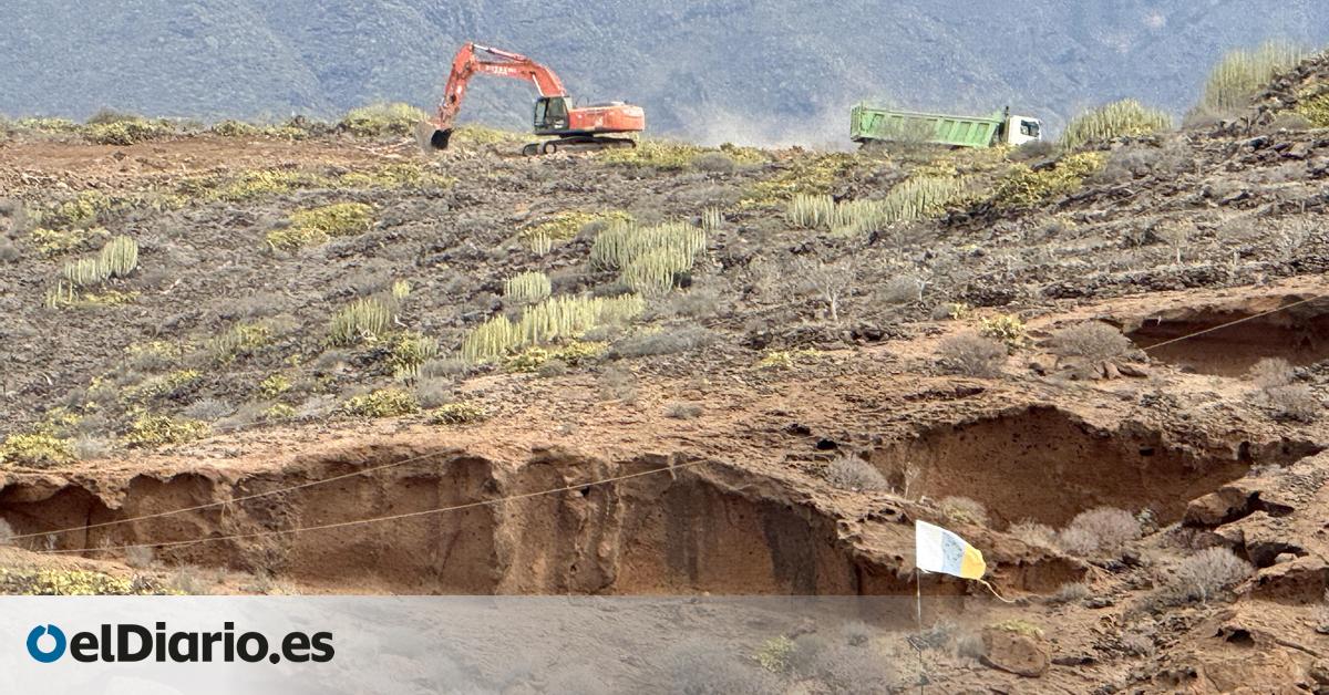 Cuna del Alma o las Dunas de Corralejo: denunciado ante la ONU el  deterioro  que el turismo ocasiona en Canarias