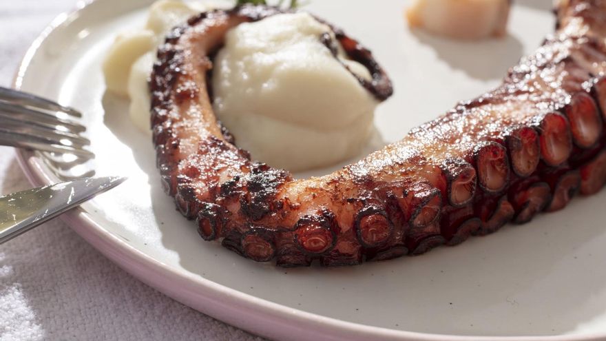 Cómo cocinar pulpo congelado y cuatro recetas para aprovechar todo su sabor