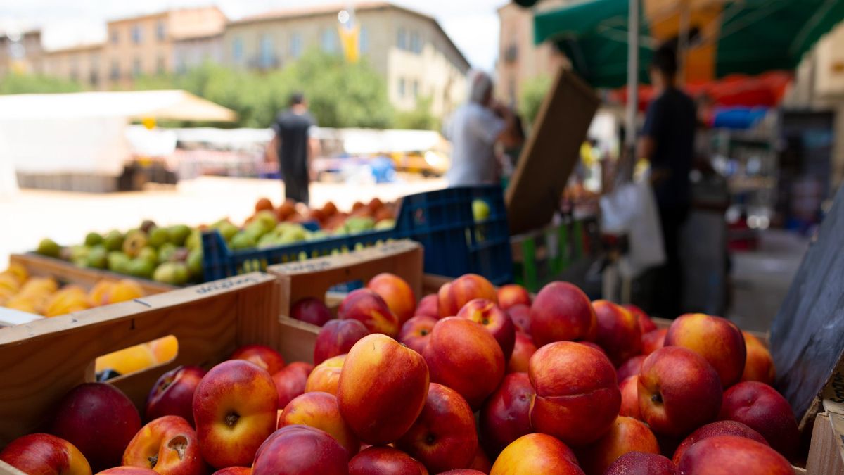 Un lloc de fruita d'un mercat de pagès de Manlleu, Osona