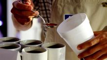 La mayor cadena de cafeterías del Reino Unido reciclará sus vasos desechables