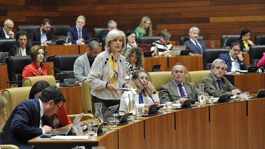 PP y Vox seguirán adelante con su 'ley de concordia' en Extremadura y deslegitiman el informe de Naciones Unidas