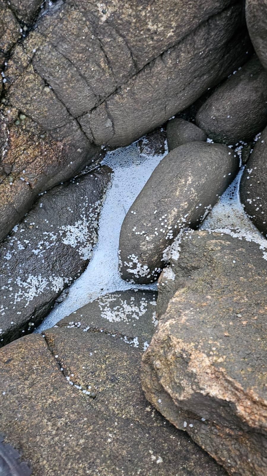 Las bolas se colaban por todas partes. La preocupación de Rodrigo era recoger el mayor número de sacos antes de que volviese a subir la marea.