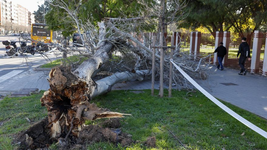 El 112 emite un aviso especial: la Comunitat Valenciana se prepara para días críticos de viento extremo