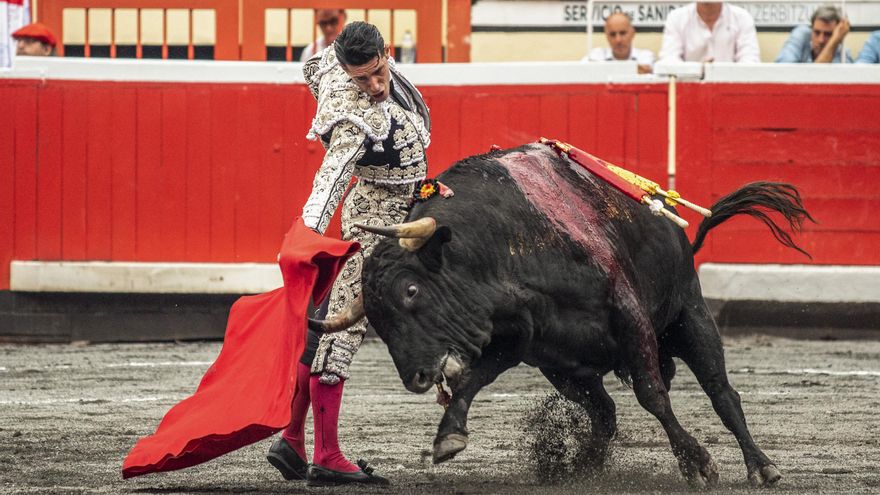 Cultura fulmina, con un apoyo ciudadano de más del 90%, el Premio Nacional de Tauromaquia