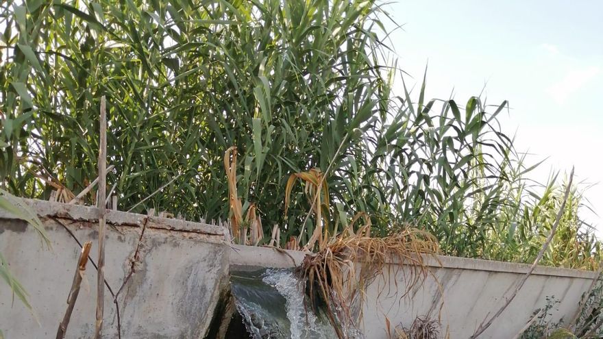 Unión de Uniones denuncia las presiones a los regantes del Jarama para que reduzcan el 20% del caudal